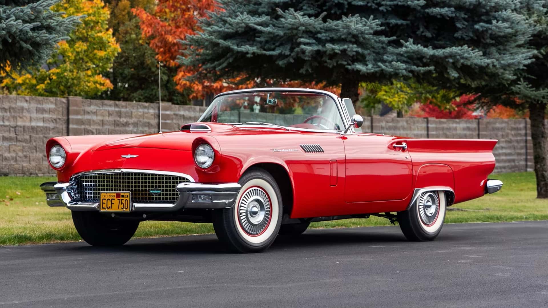 Nadir ve En İyi Ford Thunderbird Modelleri Şimdi Satışta!