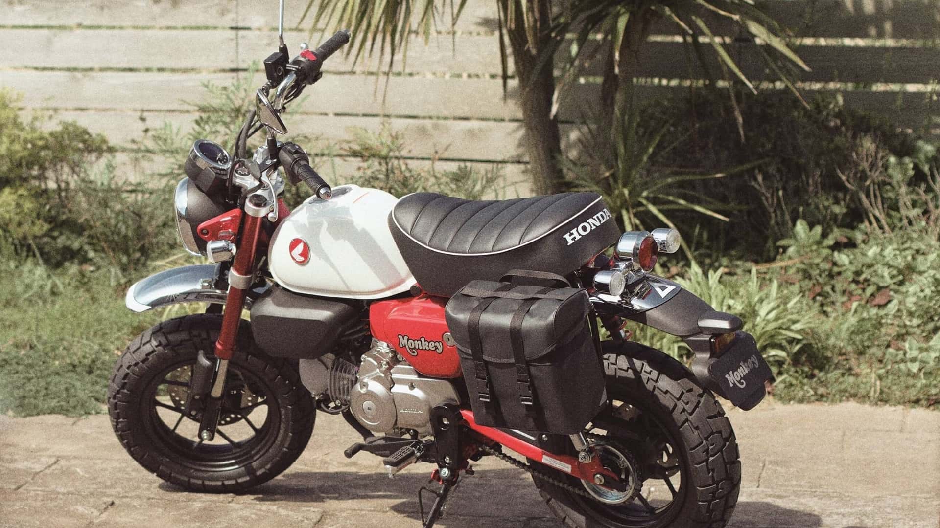 Türkiye’de Yenilenen Honda Monkey Artık Satışta!