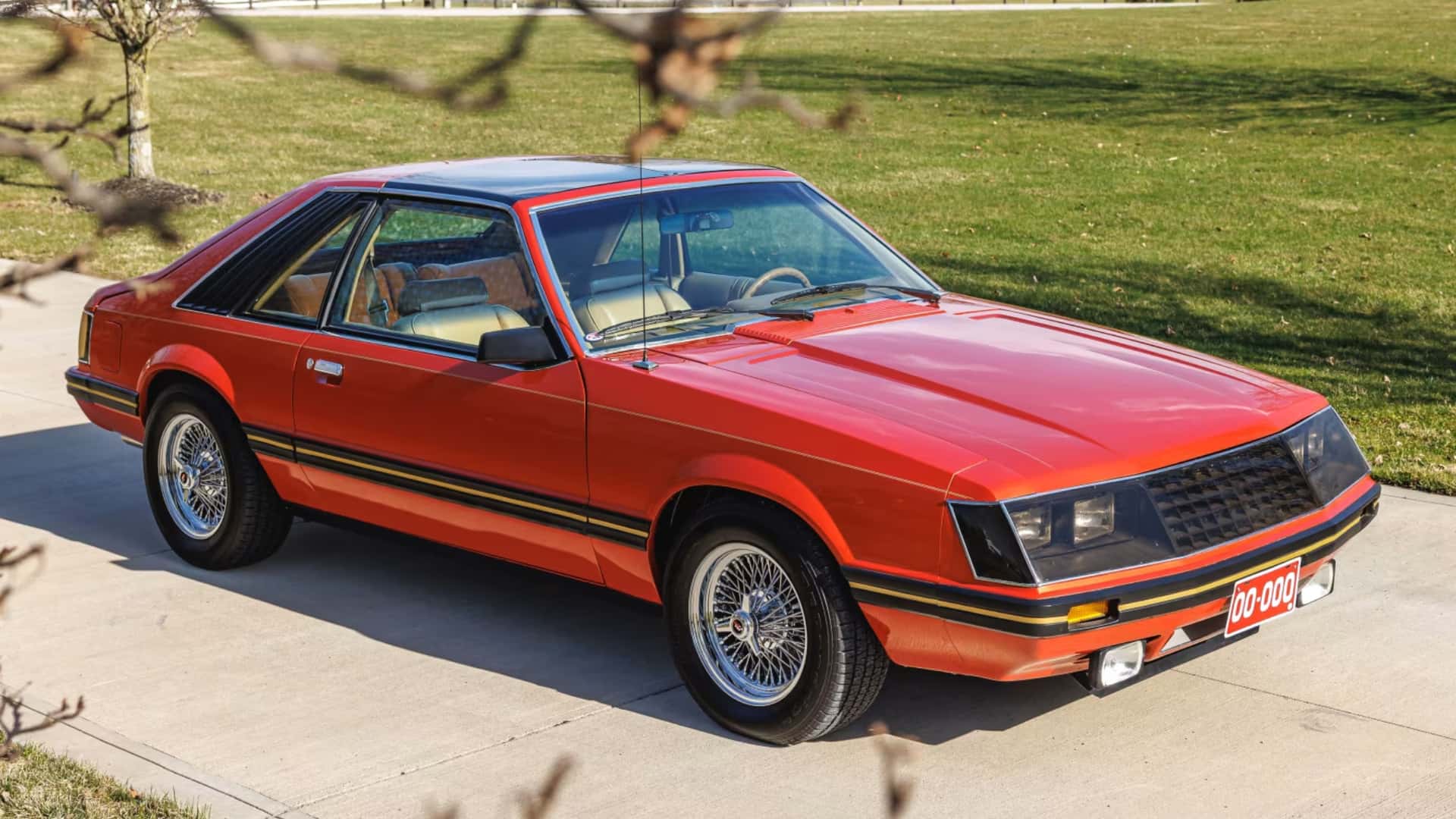 Bu özel Mustang modelinden sadece 5 adet üretildi.